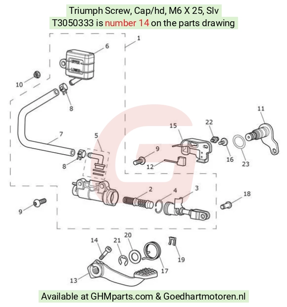 Triumph Parafuso, Cabeça cilíndrica, M6 x 25, Prata T3050333 - GHMparts