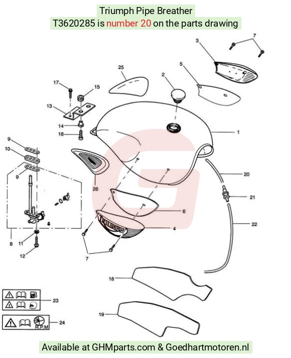 main product photo